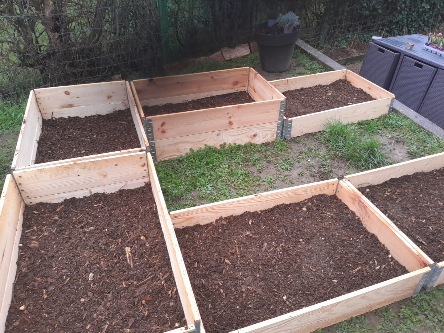 Bacs potagers en bois remplis et prêts à planter